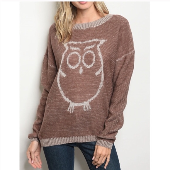 Mauve Owl 🦉 sweater - Picture 1 of 3